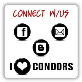 connect