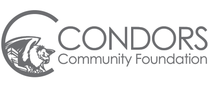 community-foundation-logo